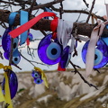 DSC00286