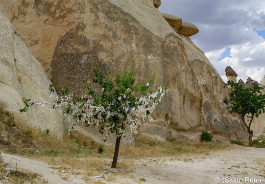 DSC00352