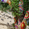 DSC00313