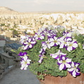 DSC00099