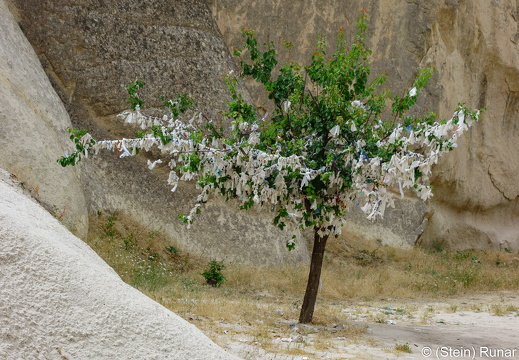 DSC00350