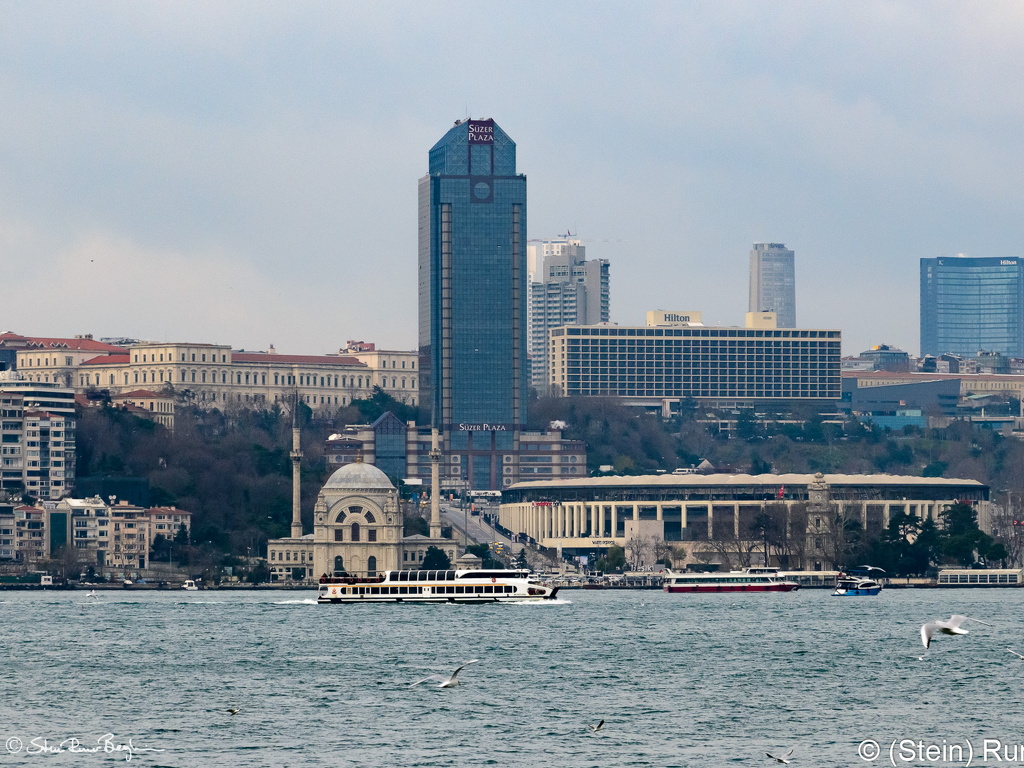 20181227-DSC 2151
