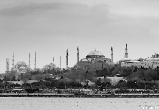 20181227-DSC 2148