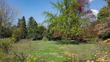 DSC09159