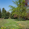 DSC09159