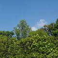 DSC09153