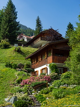 DSC01407