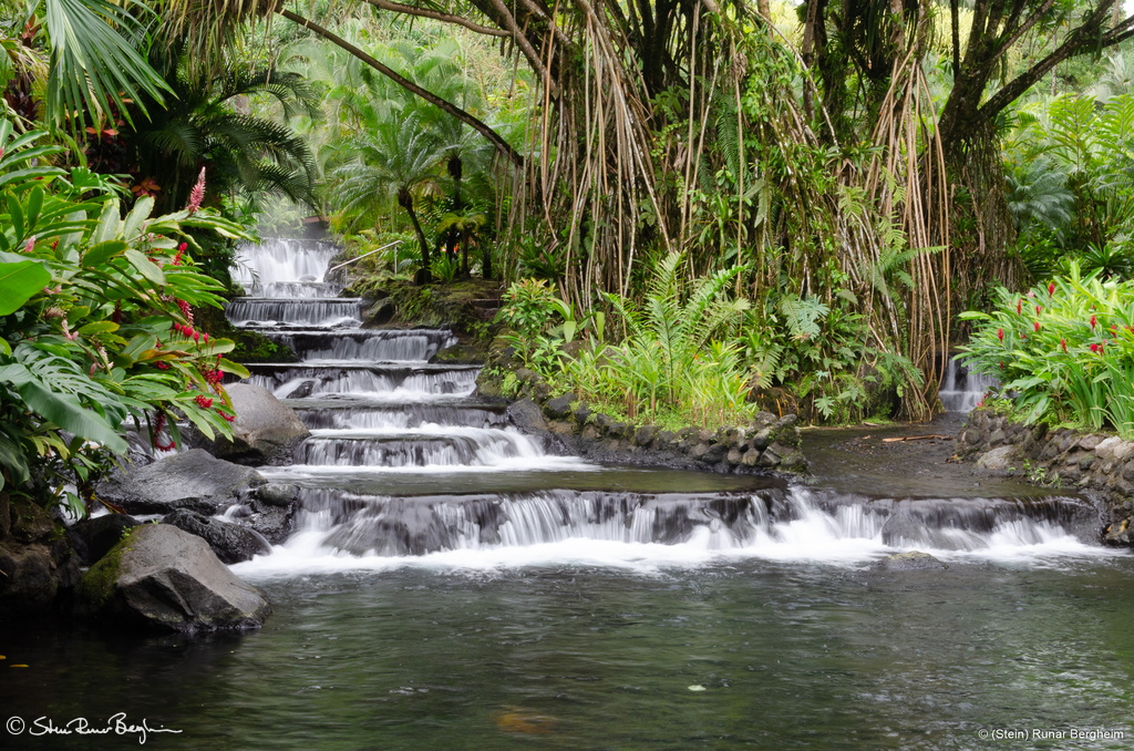 Hot Springs of Tabacon, Arenal