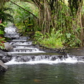 Hot Springs of Tabacon, Arenal