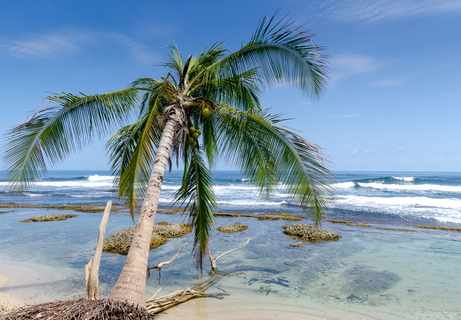 Into the Carribbean