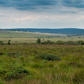 Hautes Fagnes to the north-east of Signal de Botrange