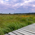 Hautes Fagnes south-west of Baraque Michel