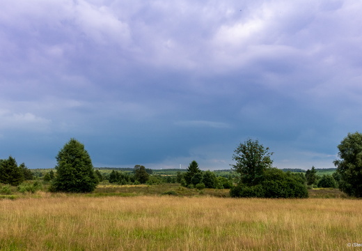 Hautes Fagnes south-west of Baraque Michel