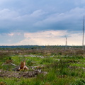 Hautes Fagnes south-west of Signal de Botrange