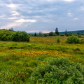 Hautes Fagnes south-west of Baraque Michel