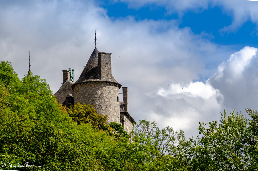 The towers of Chateau de Walzin protruding from the forest
