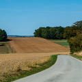 img20200913-150054-DSC01119