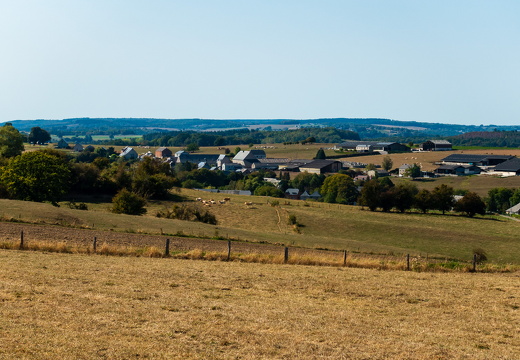 img20200913-145908-DSC01115