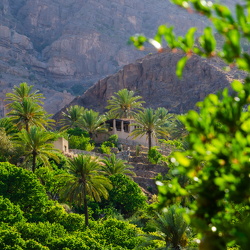 Muscat, Wadi Mistal and Al Wakan Village, April/May 2025