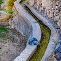 DSC 7159
