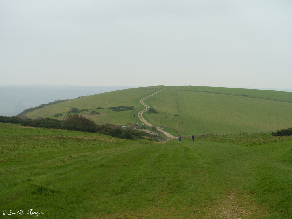 DSC02253