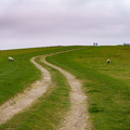 DSC02256