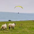 DSC02261