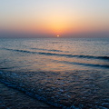 DSC 7001