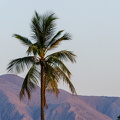 DSC 7028