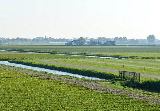 DSC08848-2