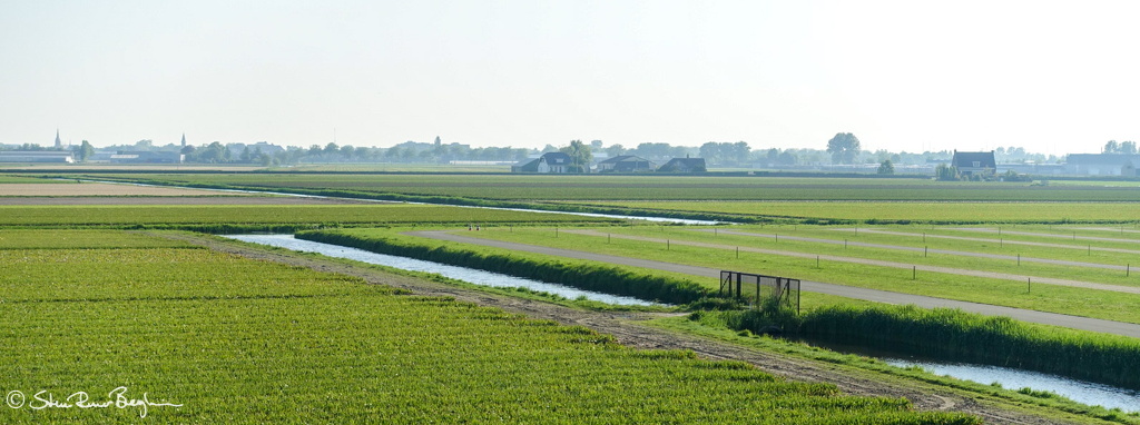 DSC08848-2