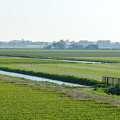 DSC08848-2