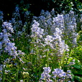 DSC08899-2