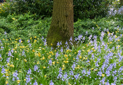 DSC08900-2