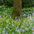 DSC08900-2