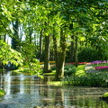 DSC08905-2