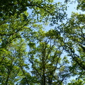 DSC08914-2