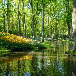 Keukenhof, May 2023