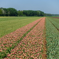DSC08991-2