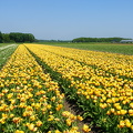DSC09004-2