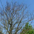 DSC09014-2