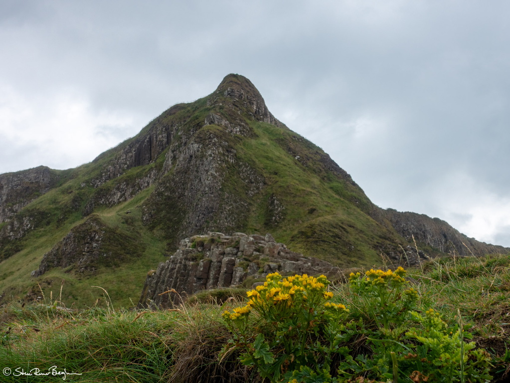 DSC03756-HDR