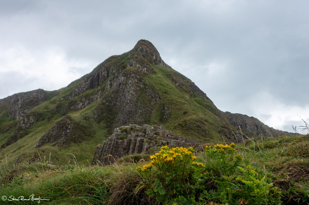 DSC03756-HDR.jpg