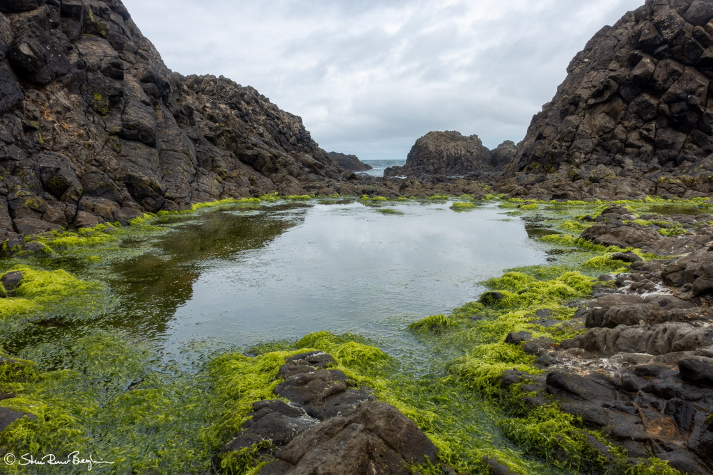 DSC03827-HDR.jpg