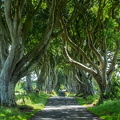 DSC03434-HDR