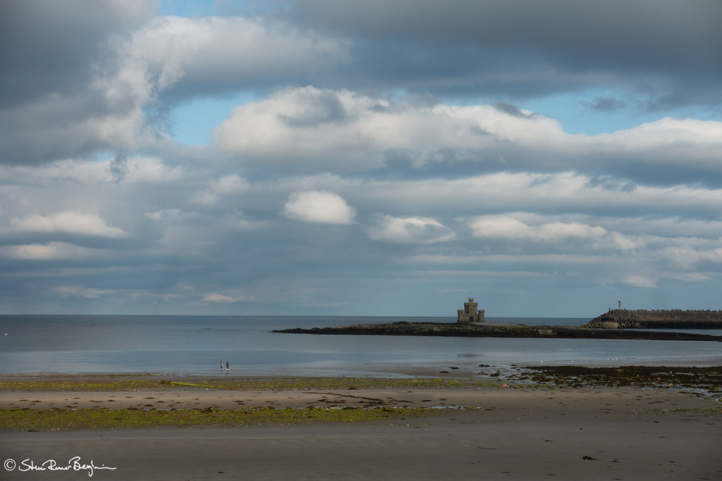 DSC03907.jpg