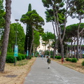 DSC 7439