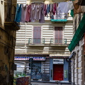 DSC 7561