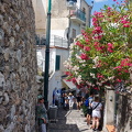 20250709_143547.jpg