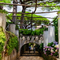 DSC 7678